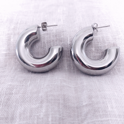 Willow Silver Earrings